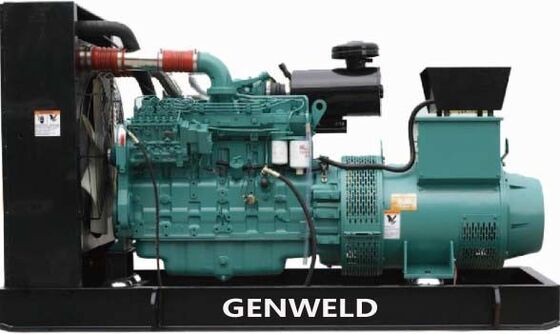 comprare Cummins Diesel Generator Set Serie 20-450Kw Dimensione 1560*710*1080mm fabbricazione online